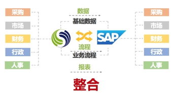 SAP與致遠(yuǎn)互聯(lián)強(qiáng)強(qiáng)聯(lián)手，以技術(shù)融合驅(qū)動全球企業(yè)組織管理升級